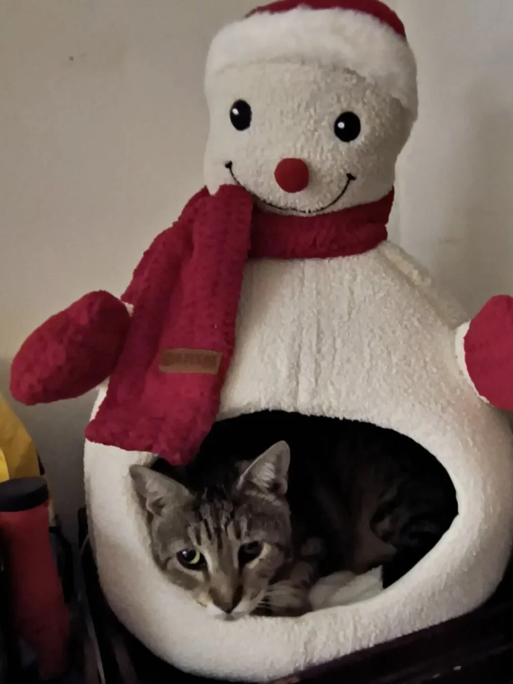 Snowman Cat Bed  Holiday Fun For Cats by CATISM - Like New!